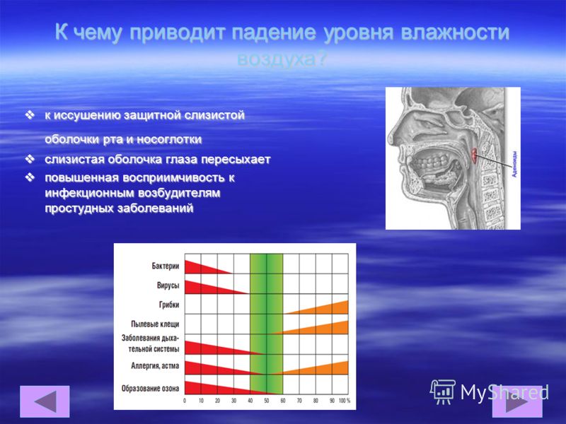 Самая низкая влажность воздуха ожидается